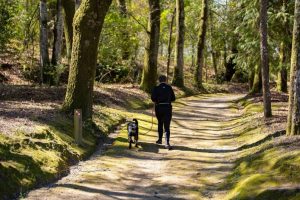 Imagem de parque canino em Viseu, Portugal