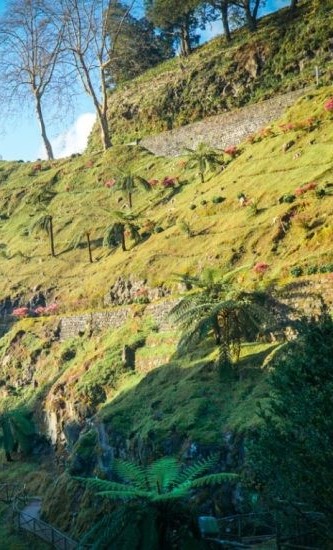 Paisagem natural dos Açores, Ribeira grande