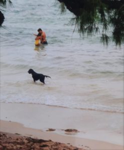 Duna a cadela protectora nas praias de Moçambique