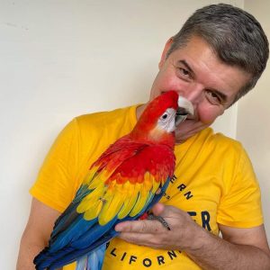 papagaio colorido de João Baião, apresentador do canal televisivo SIC