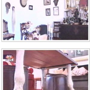 Um cavalo que rendeu a João Moura muitas glórias foi esquartejado para uso de mobiliário e com fins decorativos. Um horror