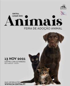 Cartaz que anuncia Feira de Adopção de Animais