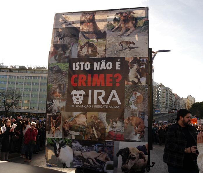 No autocarro do IRA várias fotos de animais vítimas de maus tratos e onde se pregunta se isto Não é Crime?