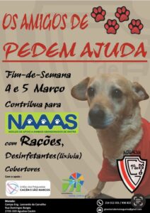 Cartaz de fim de semana solidário para o Núcleo de Apoio aos Animais Abandonados de Sintra
