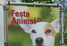 Cartas da Feira Animal em Oeiras
