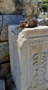 gato dormita em monumento otomano, na Turquia