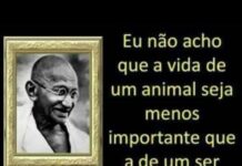 Ghandi uma imagem dele e das suas sábias palavras relativamente aos direitos dos animais