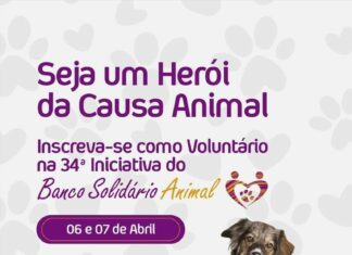 O NAAAS, Núcleo de Apoio aos Animais Abandonados de Sintra pede voluntários para o Banco Solidário animal a realizar dias 6 e 7 de Abril