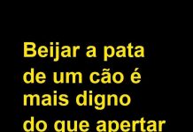 Beijar a pata de um cão é mais digno que apertar a mão a certas pessoas