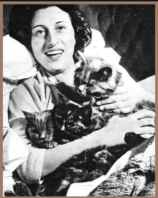 Ana Magnani Anna Magnani era uma atctriz italiana que cuidava de gatos de rua