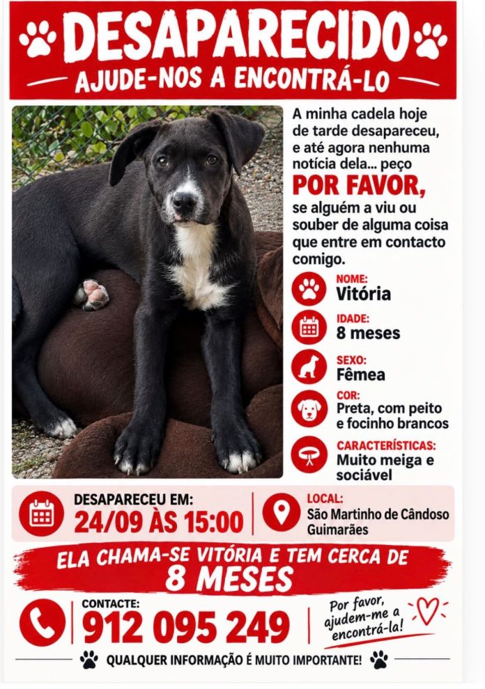 Vitória Vitória é uma cadelinha de porte médio preta e branca que está desaparecida